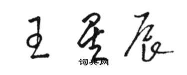 駱恆光王星辰草書個性簽名怎么寫