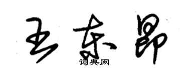 朱錫榮王東昂草書個性簽名怎么寫