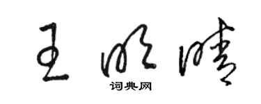 駱恆光王明晴草書個性簽名怎么寫