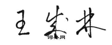 駱恆光王成林草書個性簽名怎么寫