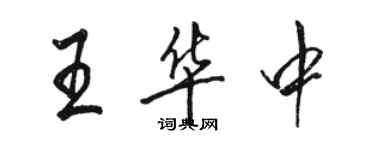 駱恆光王華中行書個性簽名怎么寫