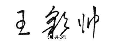 駱恆光王彩帥草書個性簽名怎么寫