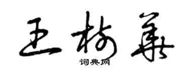 曾慶福王樹華草書個性簽名怎么寫