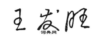 駱恆光王發旺草書個性簽名怎么寫