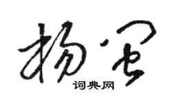 駱恆光楊閩草書個性簽名怎么寫
