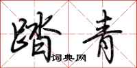 荊霄鵬踏青行書怎么寫
