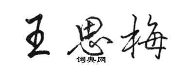 駱恆光王思梅行書個性簽名怎么寫