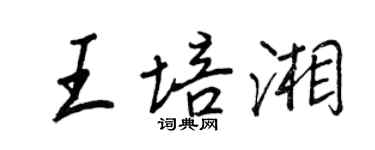 王正良王培湘行書個性簽名怎么寫
