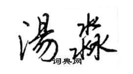 王正良湯淼行書個性簽名怎么寫