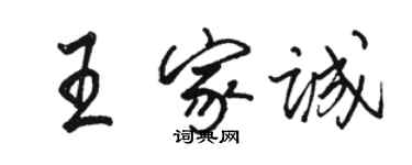 駱恆光王家誠行書個性簽名怎么寫