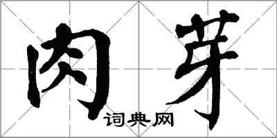 翁闓運肉芽楷書怎么寫