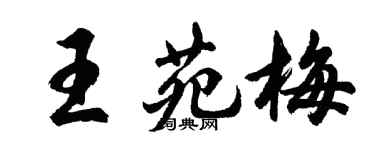 胡問遂王苑梅行書個性簽名怎么寫