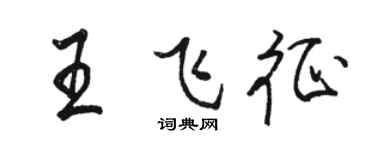 駱恆光王飛征行書個性簽名怎么寫