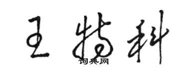 駱恆光王特科草書個性簽名怎么寫