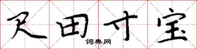 周炳元尺田寸寶楷書怎么寫