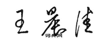 駱恆光王晨佳草書個性簽名怎么寫