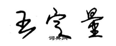 朱錫榮王定量草書個性簽名怎么寫