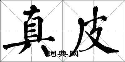 翁闓運真皮楷書怎么寫