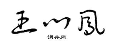 曾慶福王心鳳草書個性簽名怎么寫