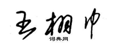 朱錫榮王栩巾草書個性簽名怎么寫