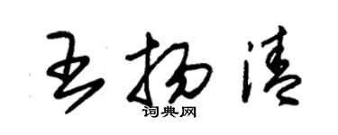 朱錫榮王揚清草書個性簽名怎么寫