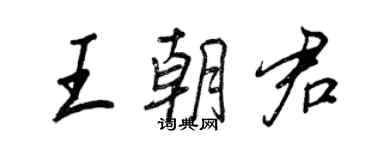 王正良王朝君行書個性簽名怎么寫