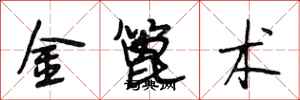 段相林金篦術行書怎么寫