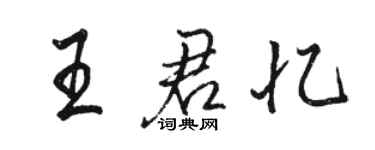 駱恆光王君憶行書個性簽名怎么寫