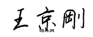 王正良王京剛行書個性簽名怎么寫