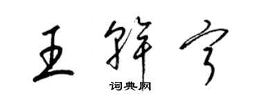 梁錦英王乾寧草書個性簽名怎么寫