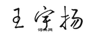 駱恆光王宇揚草書個性簽名怎么寫