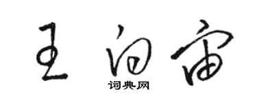 駱恆光王白宙草書個性簽名怎么寫