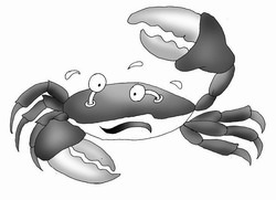 螃蟹風波_螃蟹風波作文