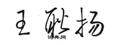 駱恆光王耿揚草書個性簽名怎么寫