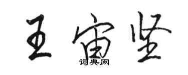 駱恆光王宙堅行書個性簽名怎么寫