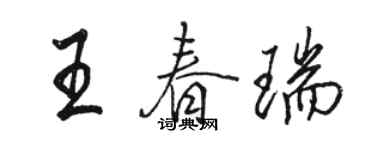 駱恆光王春瑞行書個性簽名怎么寫