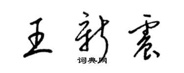 梁錦英王新震草書個性簽名怎么寫