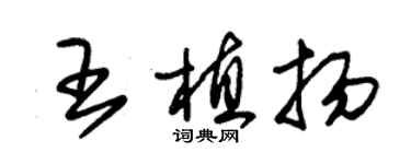 朱錫榮王植揚草書個性簽名怎么寫