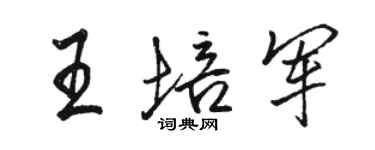 駱恆光王培軍行書個性簽名怎么寫