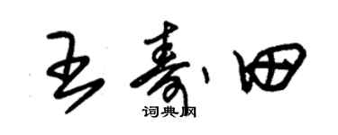 朱錫榮王壽田草書個性簽名怎么寫