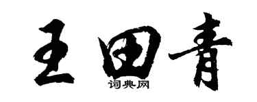 胡問遂王田青行書個性簽名怎么寫