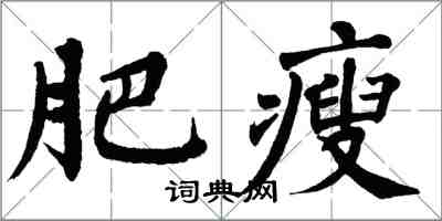 翁闓運肥瘦楷書怎么寫