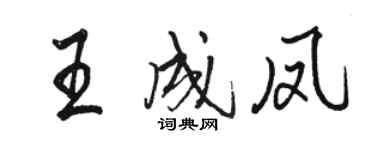 駱恆光王成鳳行書個性簽名怎么寫