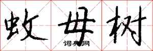 錢沛雲蚊母樹行書怎么寫