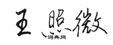 駱恆光王照微行書個性簽名怎么寫