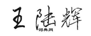 駱恆光王陸輝行書個性簽名怎么寫