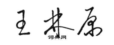 駱恆光王林原草書個性簽名怎么寫