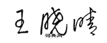 駱恆光王曉晴草書個性簽名怎么寫