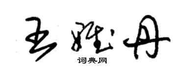 朱錫榮王雅丹草書個性簽名怎么寫