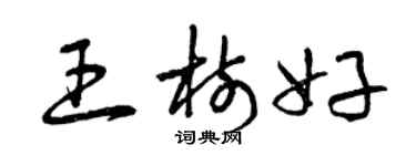 曾慶福王樹好草書個性簽名怎么寫